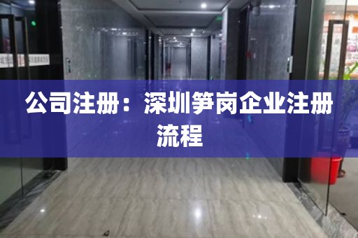 公司注册：深圳笋岗企业注册流程