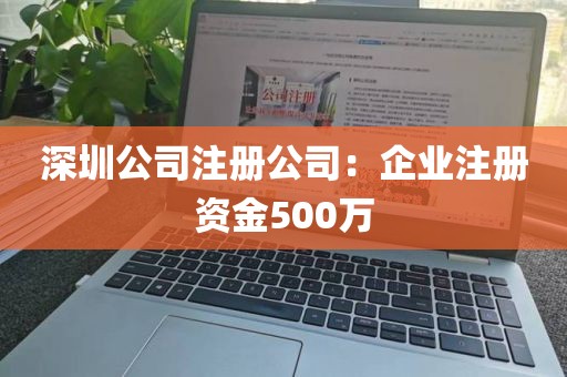 深圳公司注册公司：企业注册资金500万