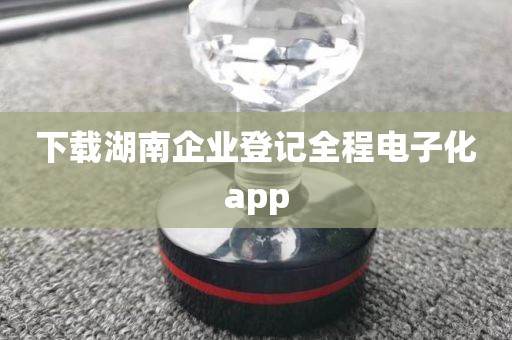 下载湖南企业登记全程电子化app