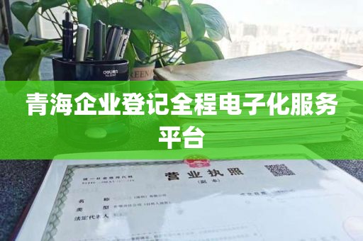 青海企业登记全程电子化服务平台