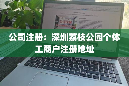 公司注册：深圳荔枝公园个体工商户注册地址