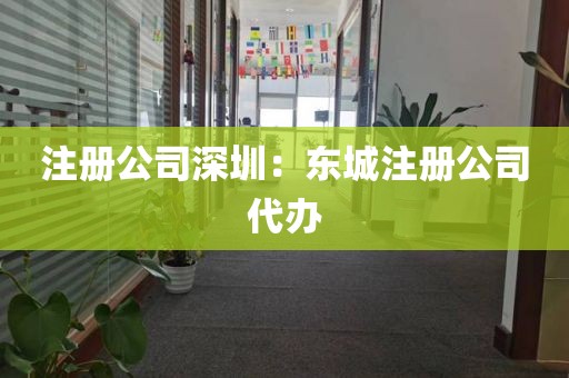 注册公司深圳：东城注册公司代办